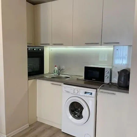 студия новый дом на василе лупу Apartment