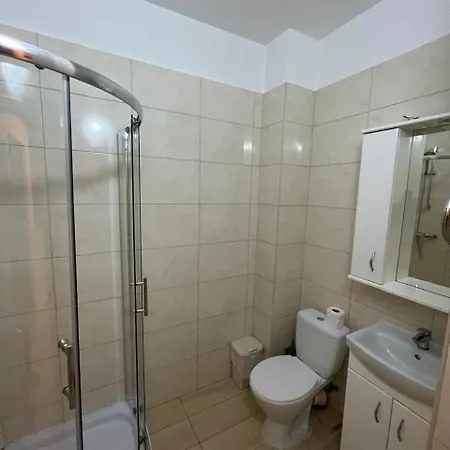 студия новый дом на василе лупу Apartment